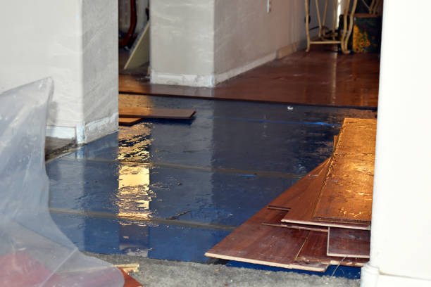 Professional Burst Pipe Cleanup technician working in Clinton, WA